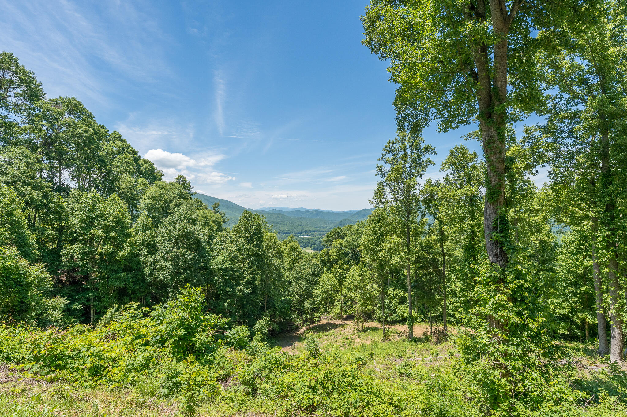 Lot 4 Ridgetop Lane, Unicoi, Tennessee image 33