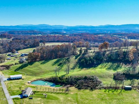 Vacant Land For Sale - 931 Providence Road<br/> Limestone, TN 37681