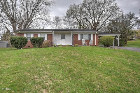 Photo of 2 Machamer Court, Johnson City, TN 37604 (MLS # 9993376)