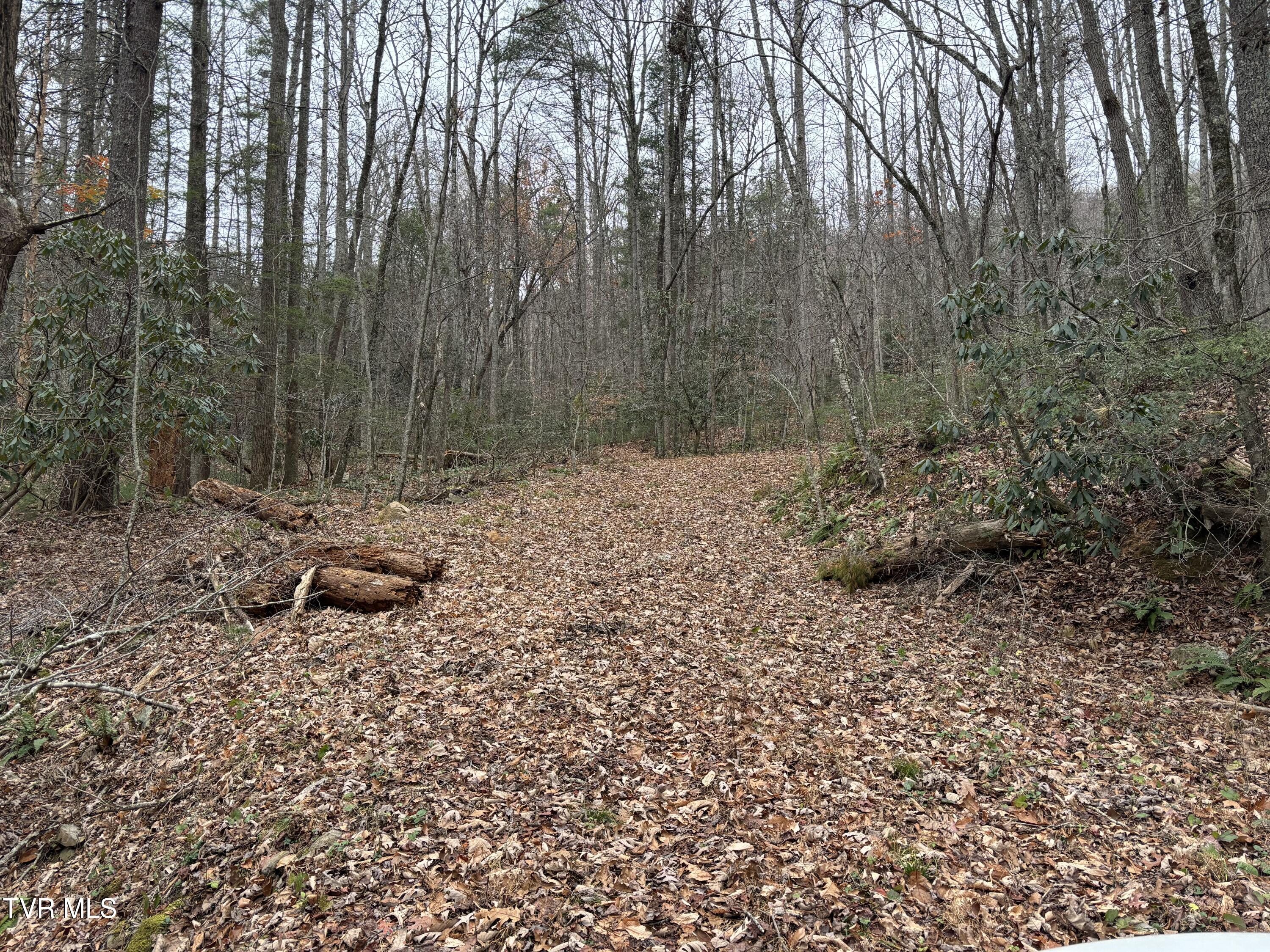 Tbd Campbell Road, Unicoi, Tennessee image 3