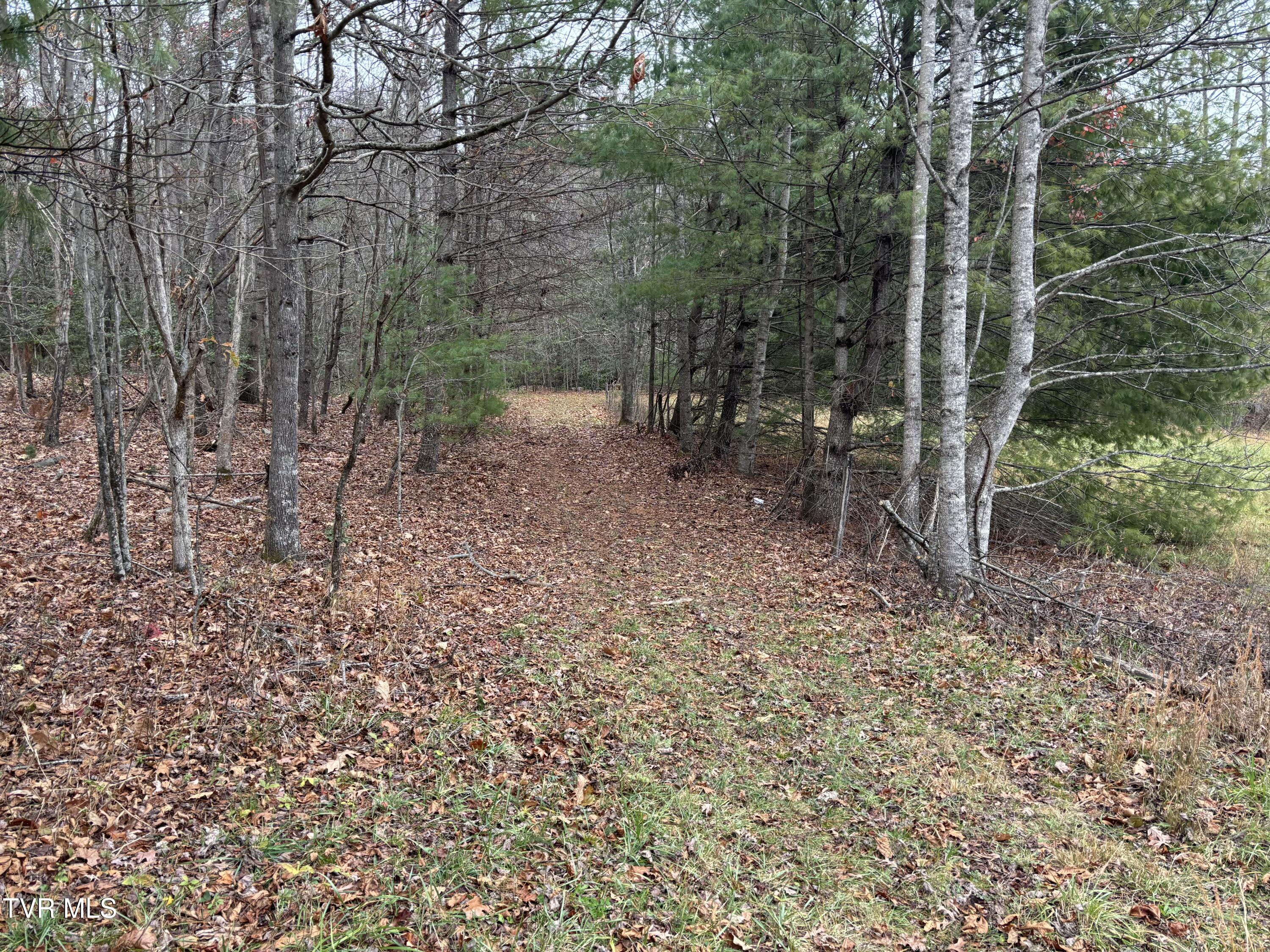 Tbd Campbell Road, Unicoi, Tennessee image 9