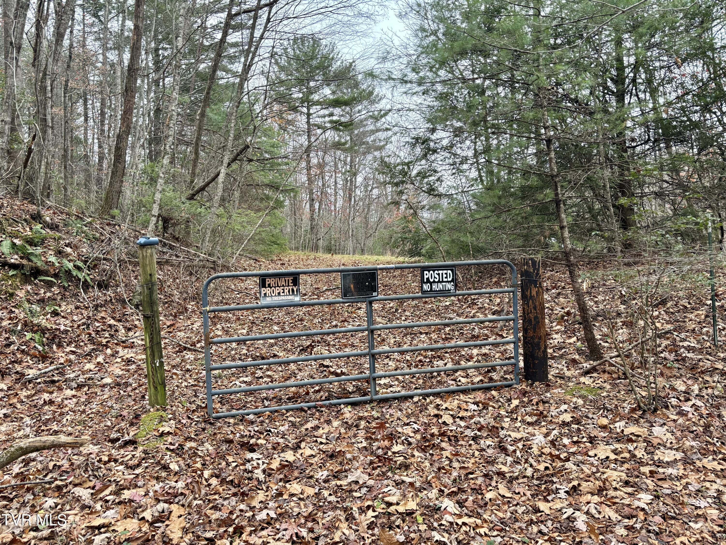 Tbd Campbell Road, Unicoi, Tennessee image 2