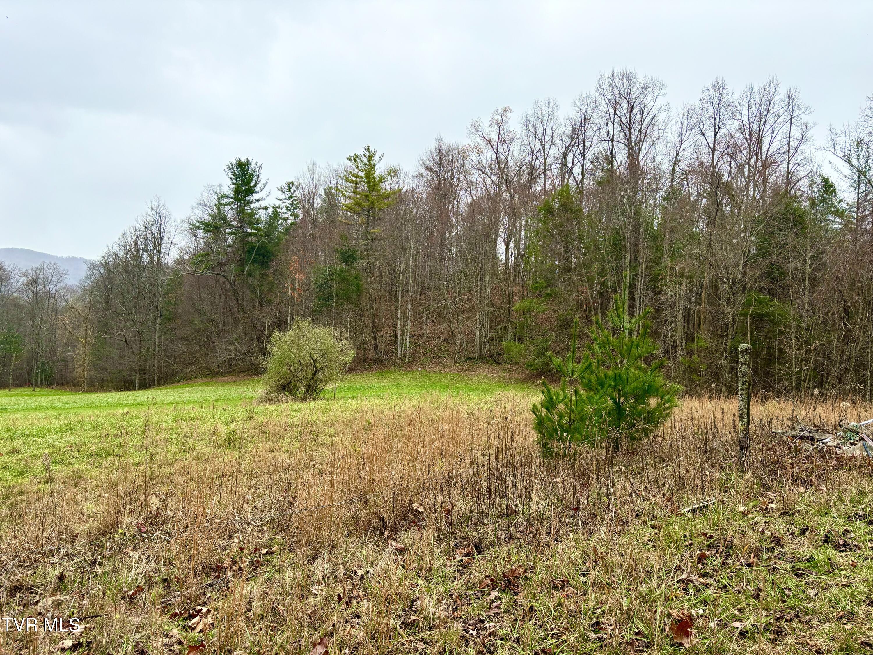 Tbd Campbell Road, Unicoi, Tennessee image 5