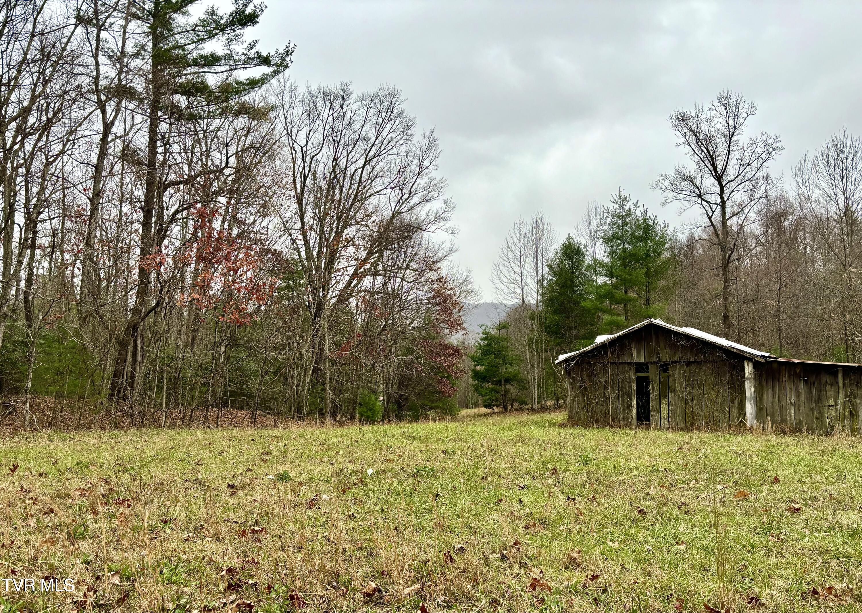 Tbd Campbell Road, Unicoi, Tennessee image 7