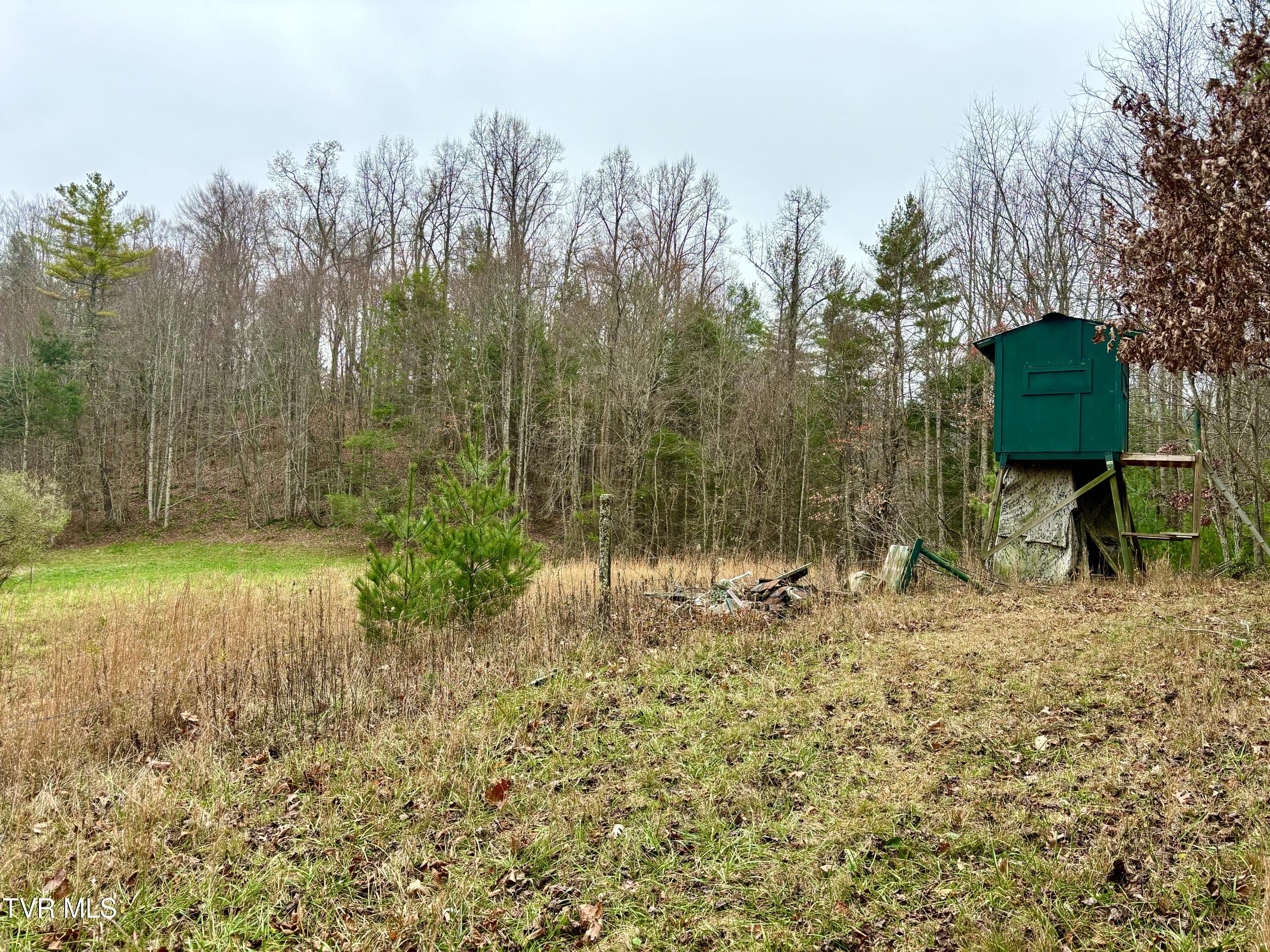 Tbd Campbell Road, Unicoi, Tennessee image 10