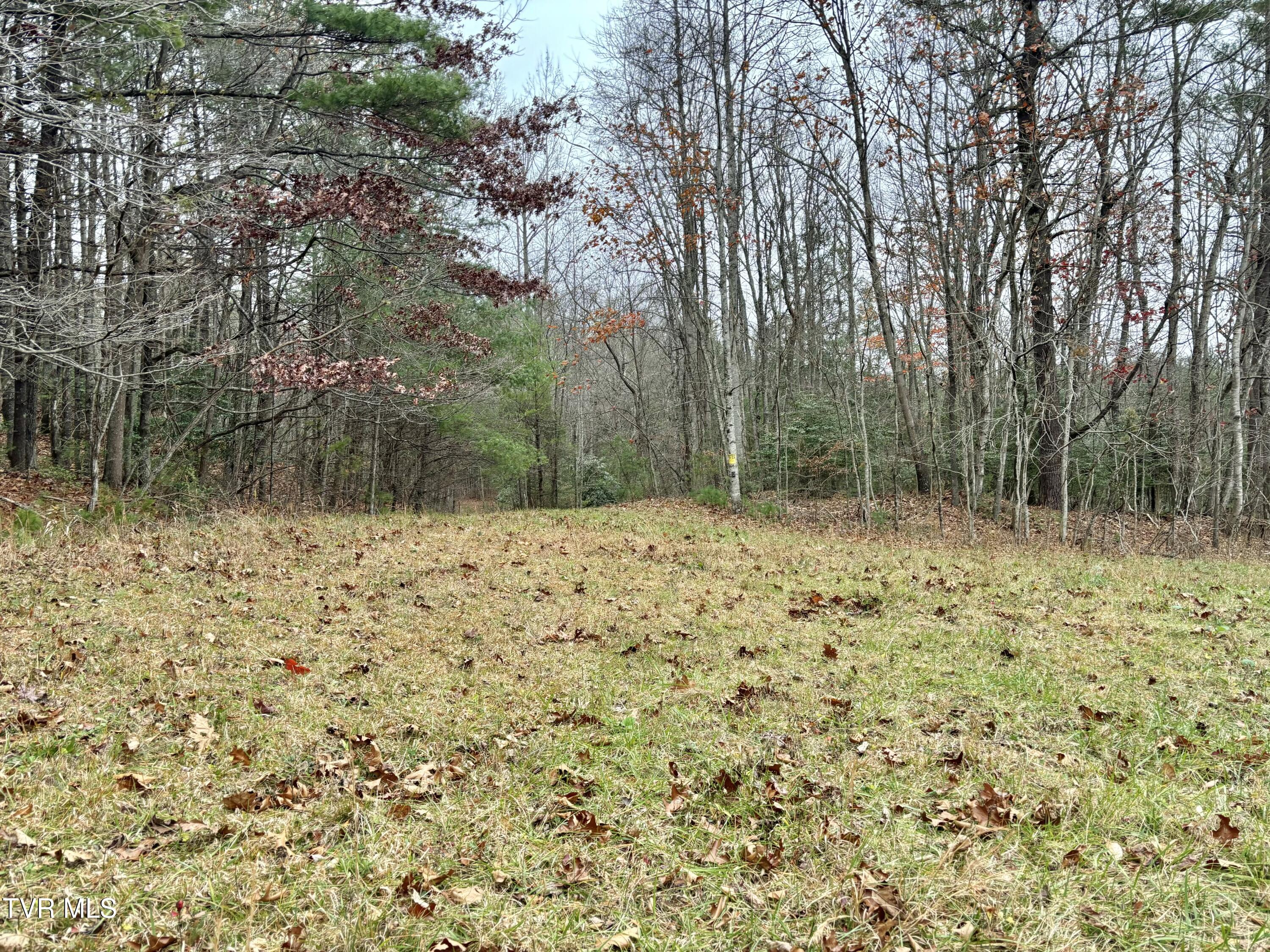 Tbd Campbell Road, Unicoi, Tennessee image 8