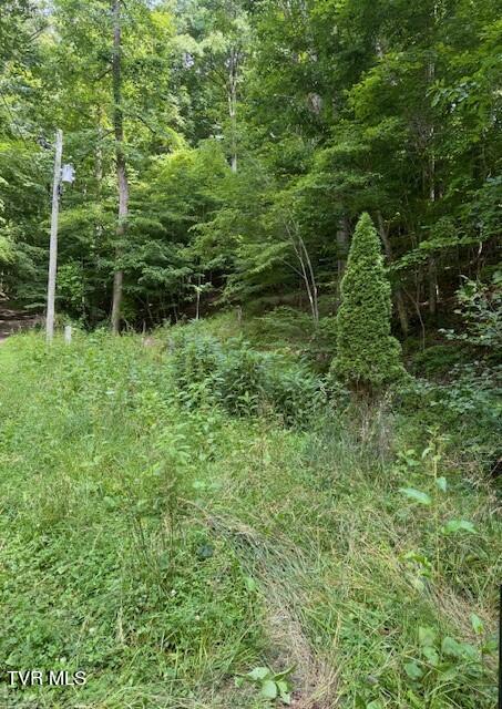 Cane Mountain Lane, Burnsville, North Carolina image 3
