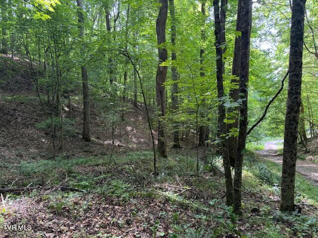 Cane Mountain Lane, Burnsville, North Carolina image 2