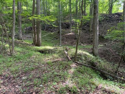 Vacant Land For Sale - Cane Mountain Lane<br/> Burnsville, NC 28714