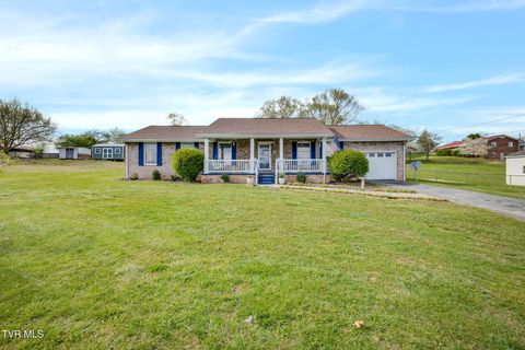 Photo of 445 Old Stage Road, Church Hill, TN 37642 (MLS # 9993291)