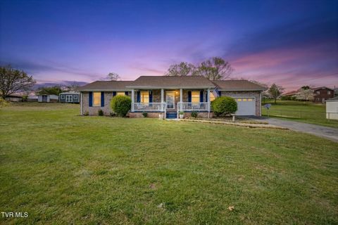 Photo of 445 Old Stage Road, Church Hill, TN 37642 (MLS # 9993291)