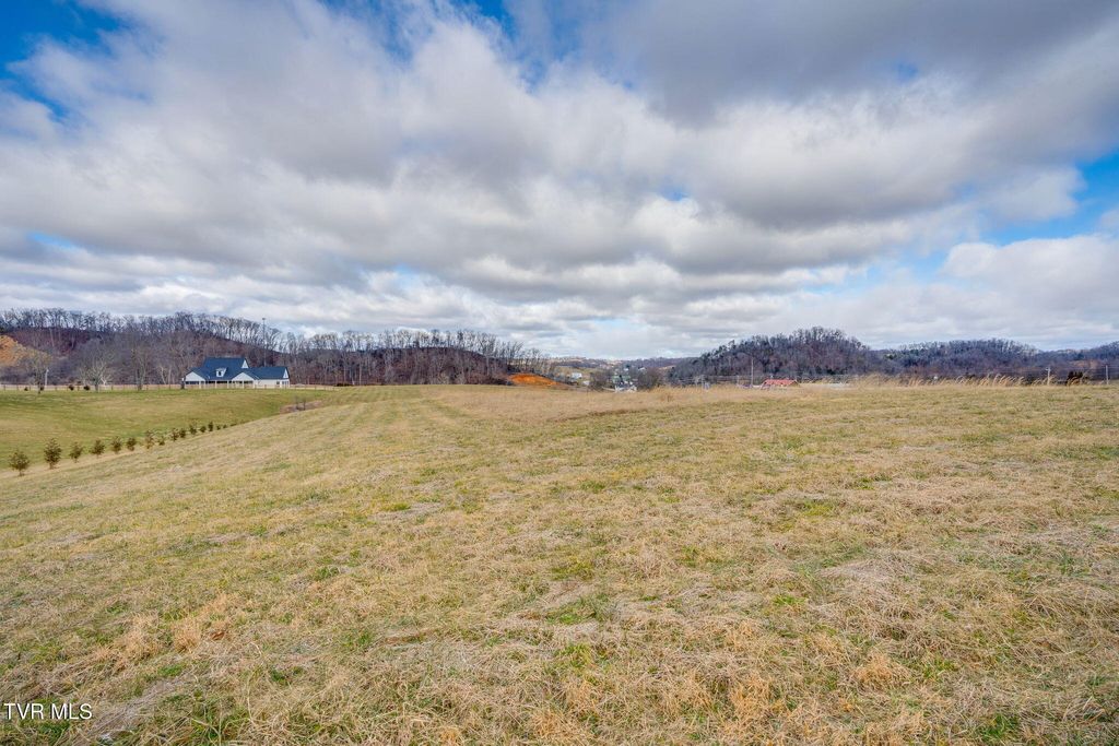 Photo of 1502 Highway 81 N, Jonesborough, TN 37659 (MLS # 9990388)