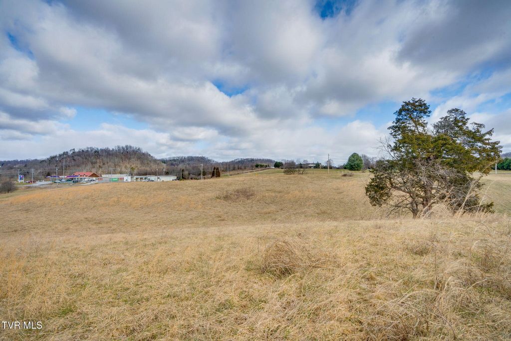Photo of 1502 Highway 81 N, Jonesborough, TN 37659 (MLS # 9990388)