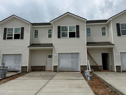 Townhouse For Sale - 136 Holt Way Way<br/> Blountville, TN 37617