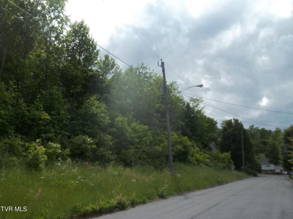 Photo of 441 Creekside Drive, Mount Carmel, TN 37645 (MLS # 9995191)