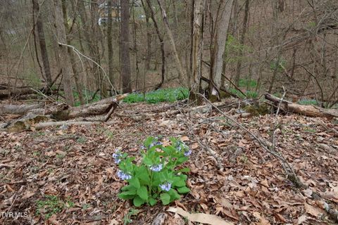 Vacant Land For Sale - TBD Lakeside Drive<br/> Washington County, Johnson City, TN 37615