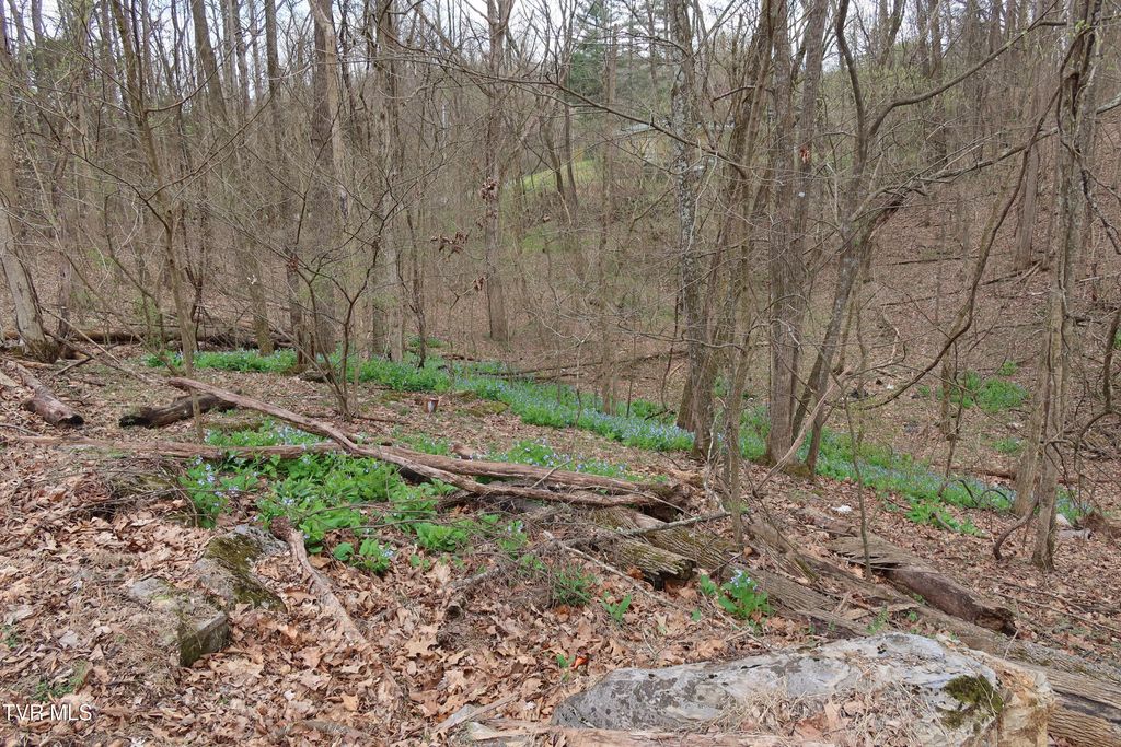 Photo of Tbd Lakeside Drive, Johnson City, TN 37615 (MLS # 9992992)