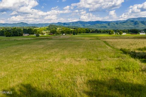 Vacant Land For Sale - TBD Erwin Highway<br/> Chuckey, TN 37641
