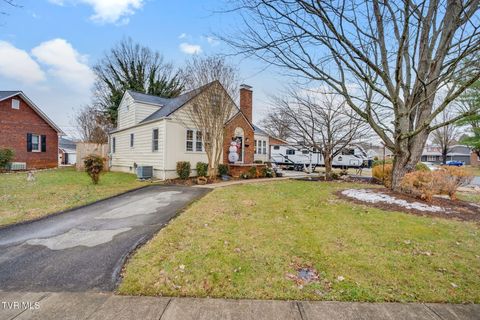 Homes For Sale - 235 F Street<br/> Elizabethton, TN 37643