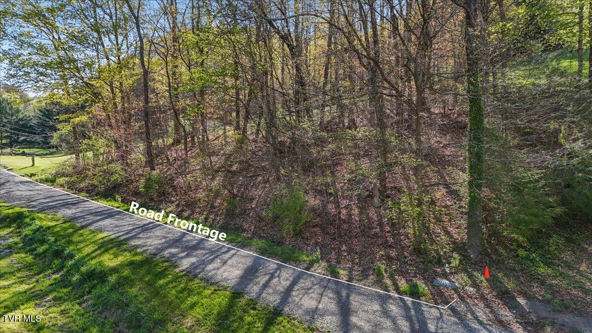 Tbd Shaffertown Road, Bristol, Virginia image 6