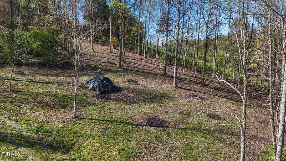 Tbd Shaffertown Road, Bristol, Virginia image 10