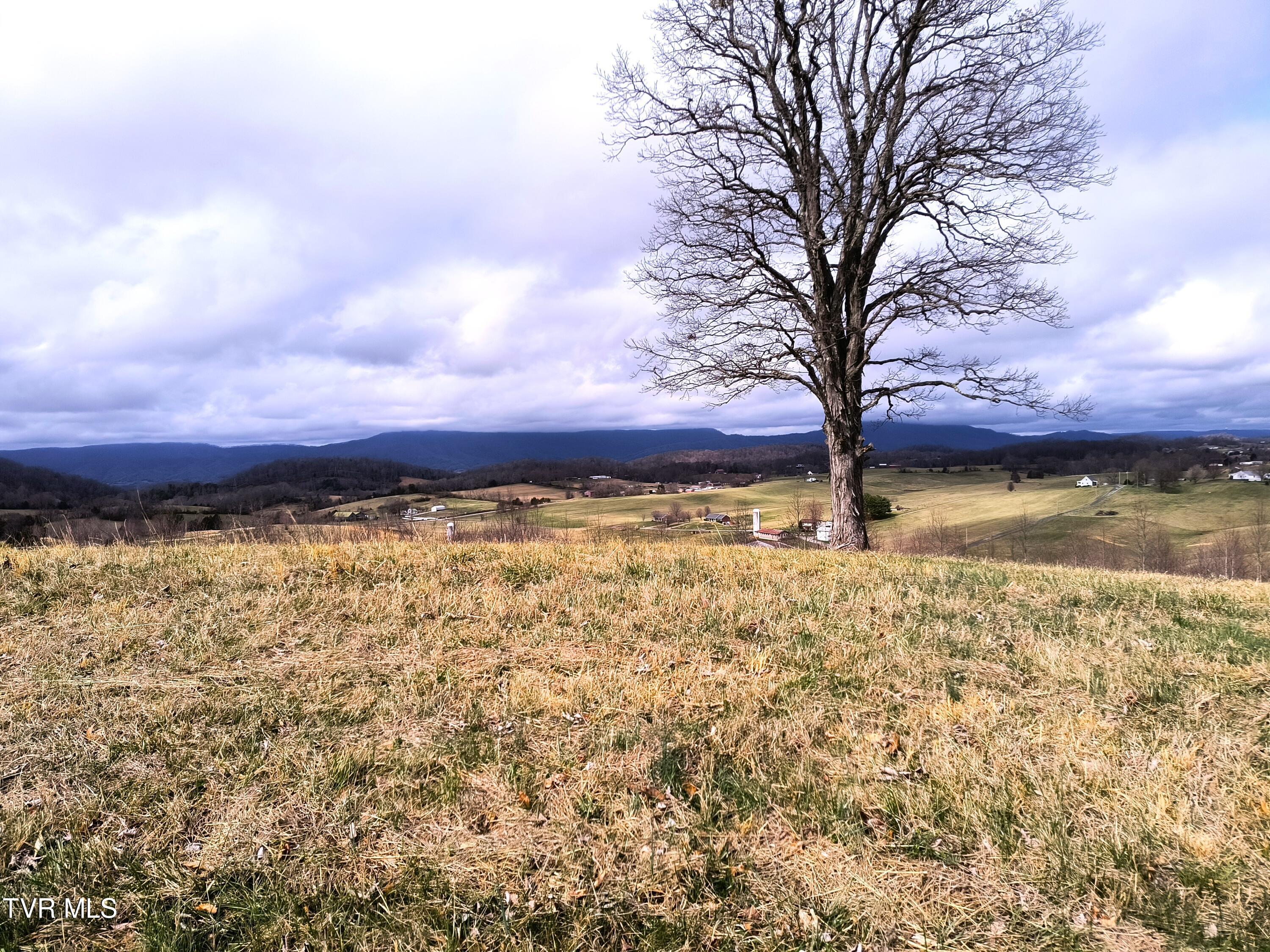Lot 44 Chimney Top Lane, Chuckey, Tennessee image 3