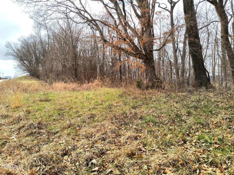 Vacant Land For Sale - LOT 44 Chimney Top Lane<br/> Chuckey, TN 37641
