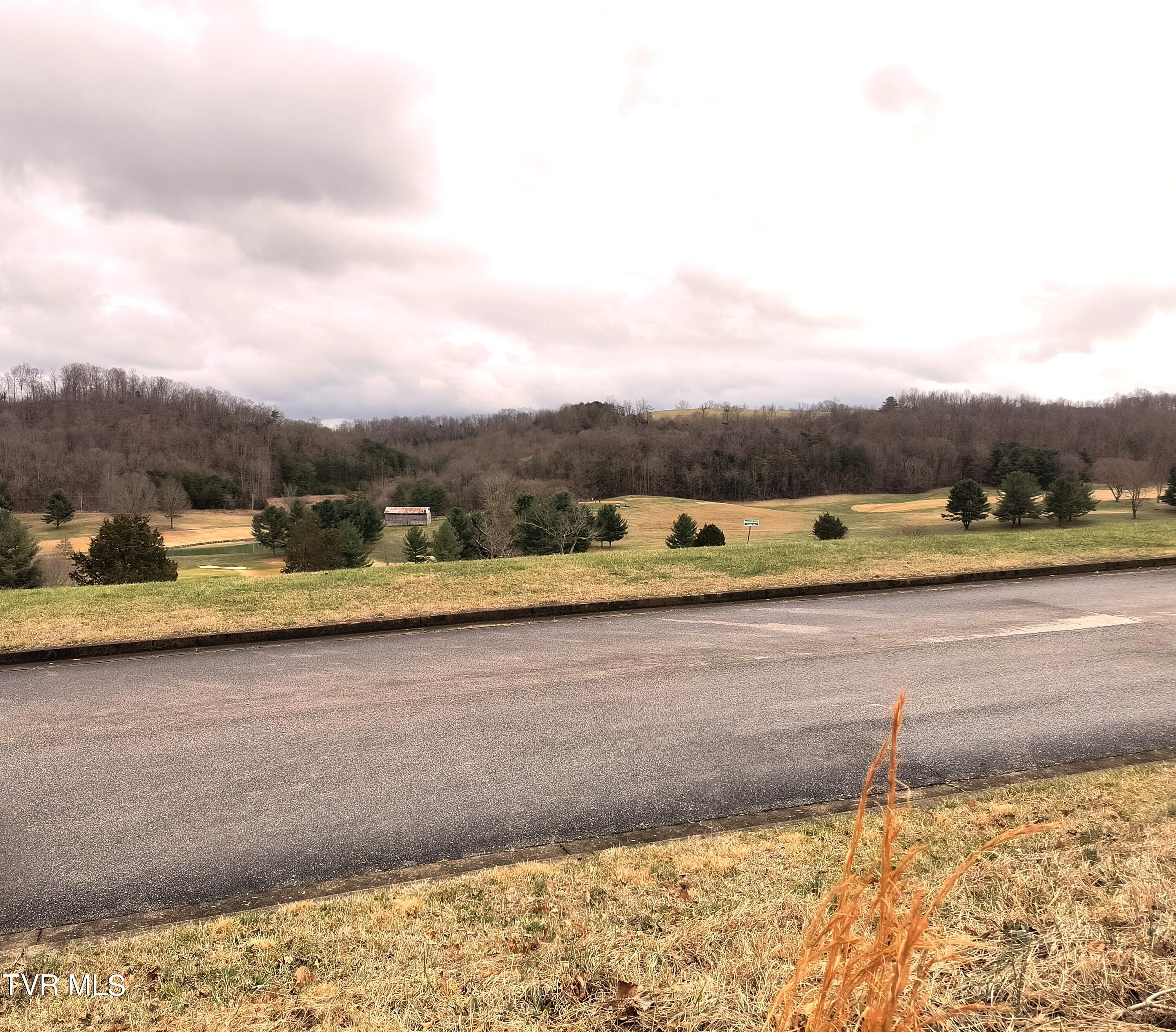 Lot 44 Chimney Top Lane, Chuckey, Tennessee image 5