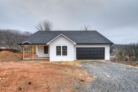 Photo of 218 Old Siam Road, Elizabethton, TN 37643 (MLS # 9988617)