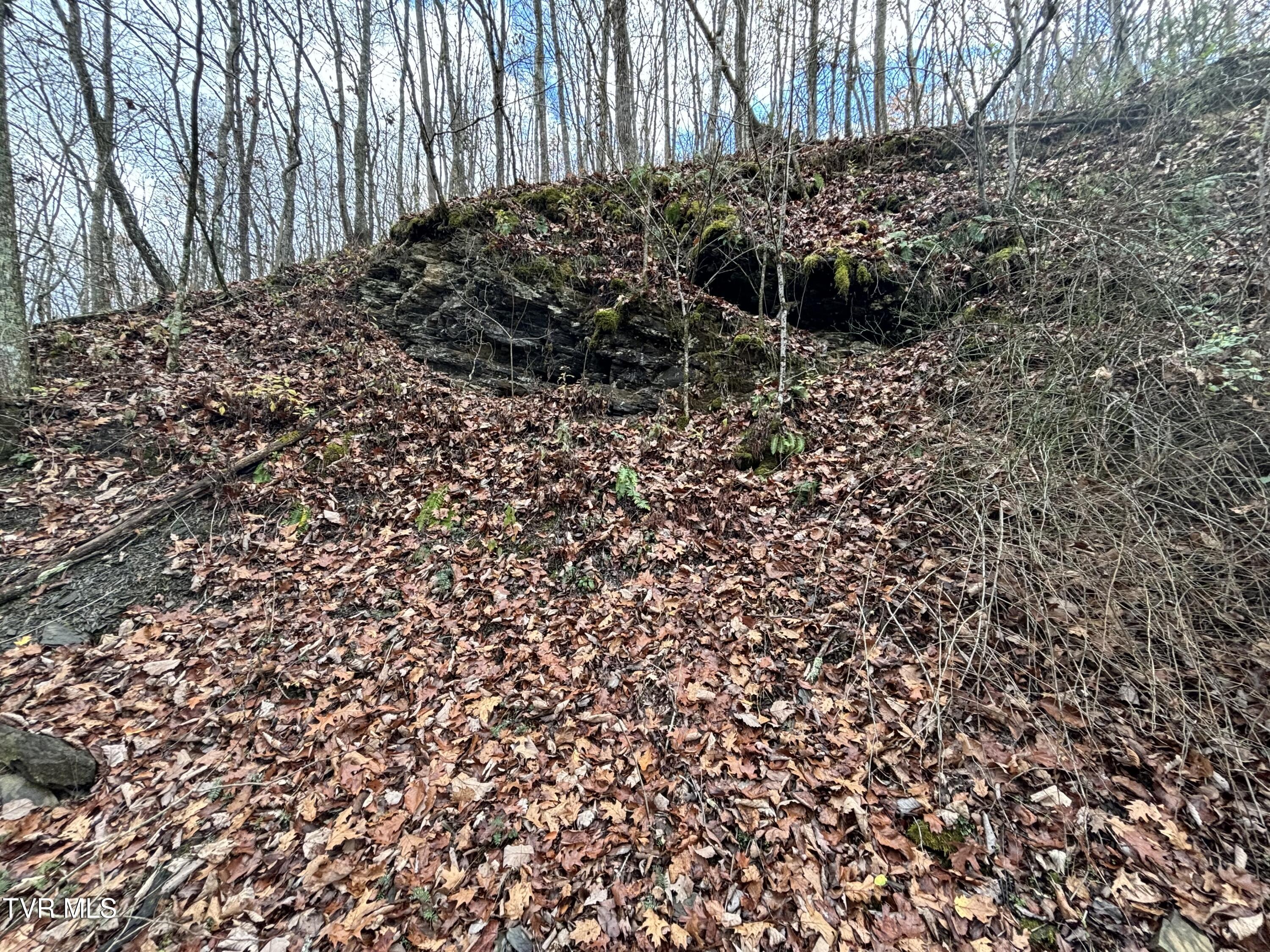 Fox Hollow Lane, Bluff City, Tennessee image 2