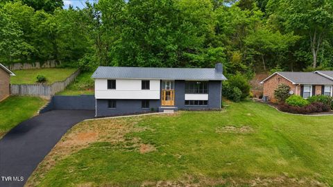 Homes For Sale - 830 Foothills Road<br/> Kingsport, TN 37663