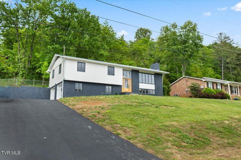 Photo of 830 Foothills Road, Kingsport, TN 37663 (MLS # 9994719)
