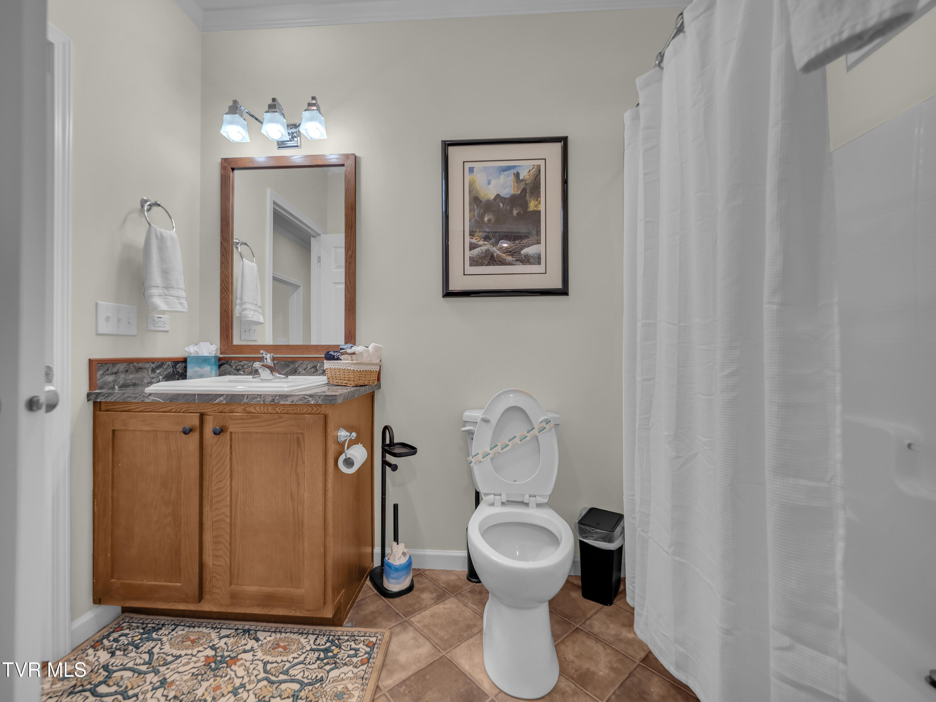 3633 Dry Hill Road, Butler, Tennessee image 21