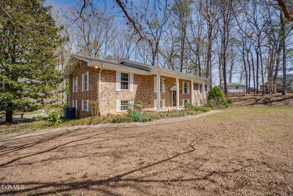 Photo of 6800 Allens Bridge Road, Greeneville, TN 37743 (MLS # 9992879)