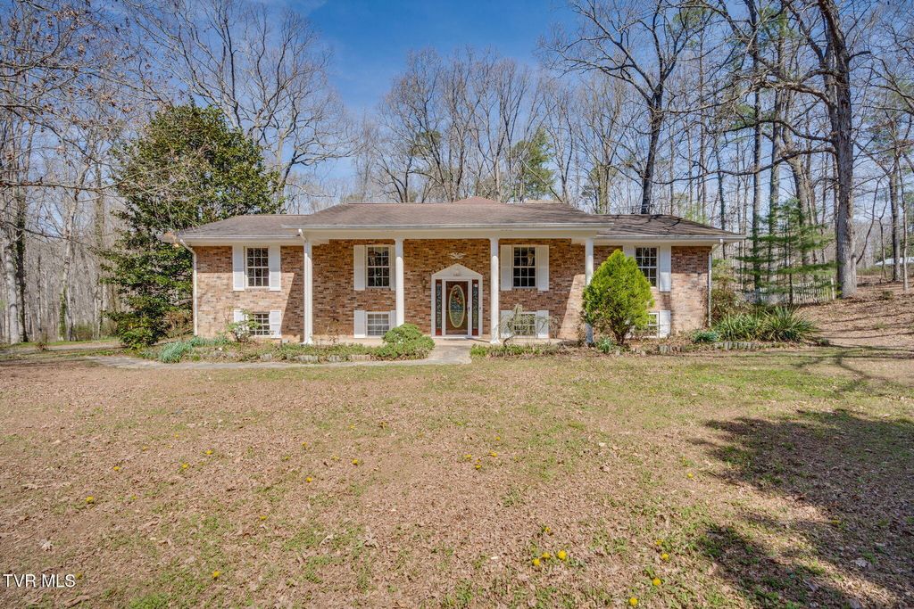 Photo of 6800 Allens Bridge Road, Greeneville, TN 37743 (MLS # 9992879)