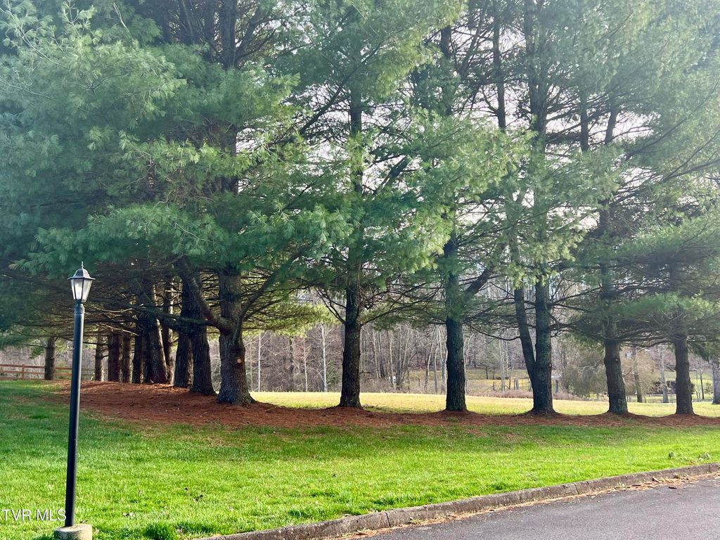 Photo of 254 Booher Road #C2, Bristol, TN 37620 (MLS # 9990393)