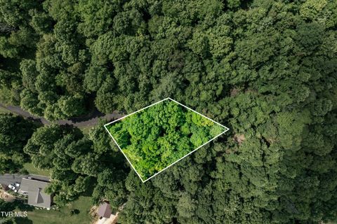 Vacant Land For Sale - LOT 21 Lake Ridge Road<br/> Johnson County, Butler, TN 37640