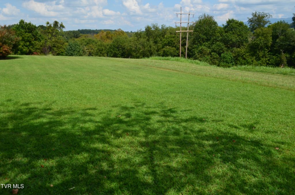 Photo of 15 Golf Villa Drive, Greeneville, TN 37743 (MLS # 9984901)