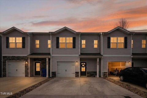 Photo of 1028 Saylors Place, Jonesborough, TN 37659 (MLS # 9993107)