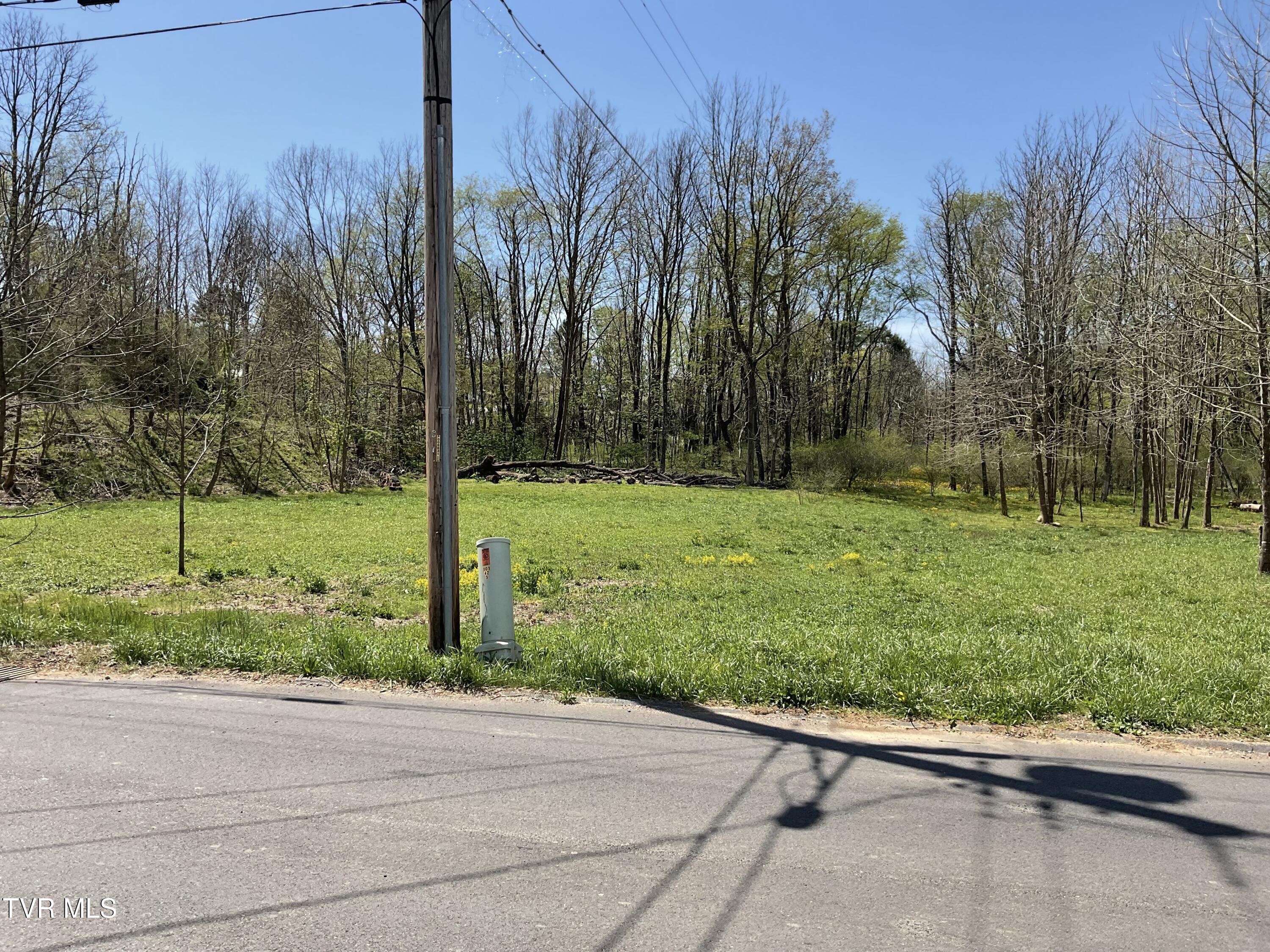 Tbd Fairview Street, Mountain City, Tennessee image 5