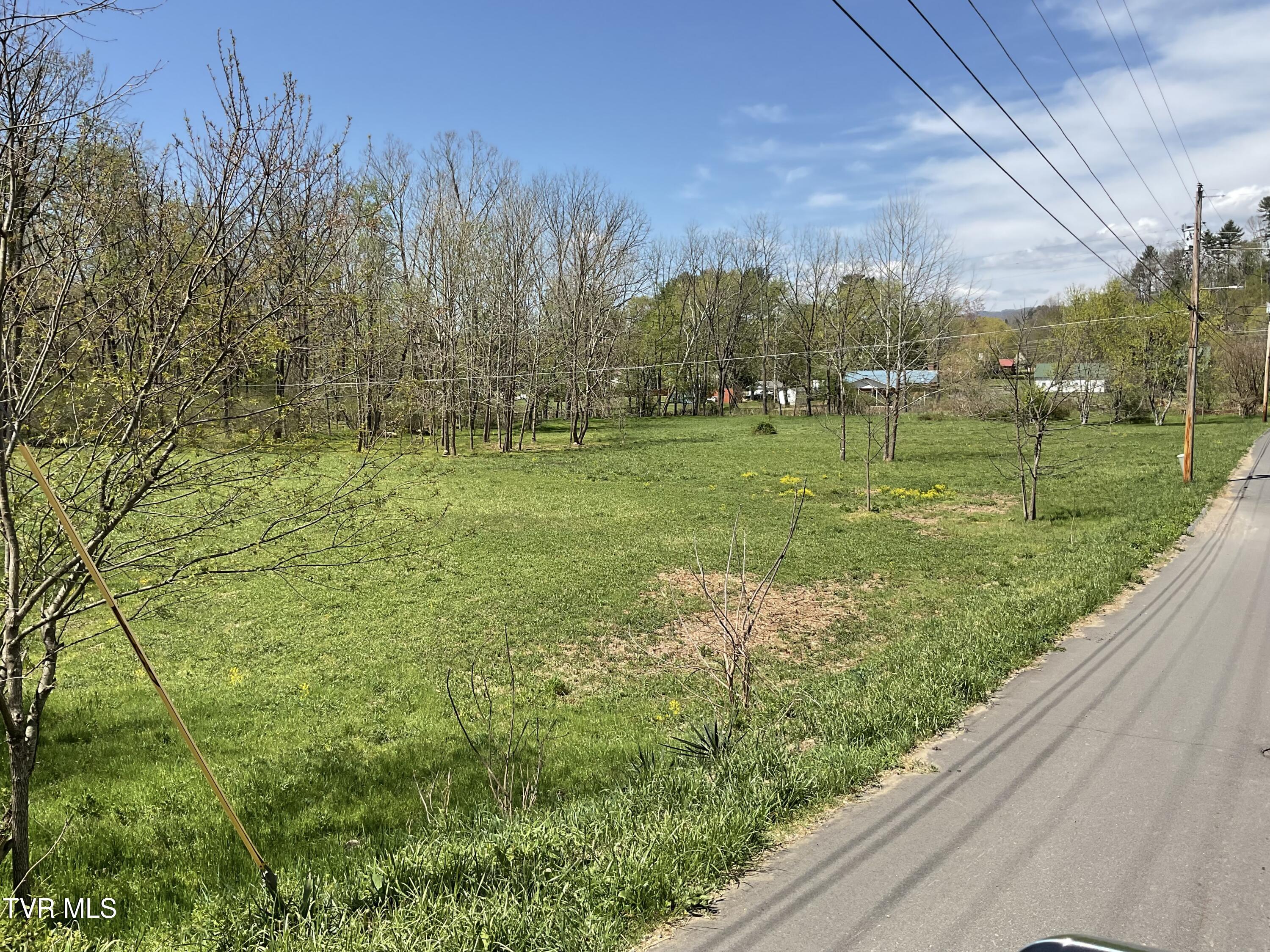 Tbd Fairview Street, Mountain City, Tennessee image 12