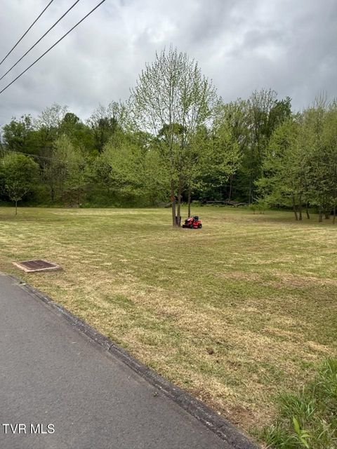 Vacant Land For Sale - TBD Fairview Street<br/> Johnson County, Mountain City, TN 37683