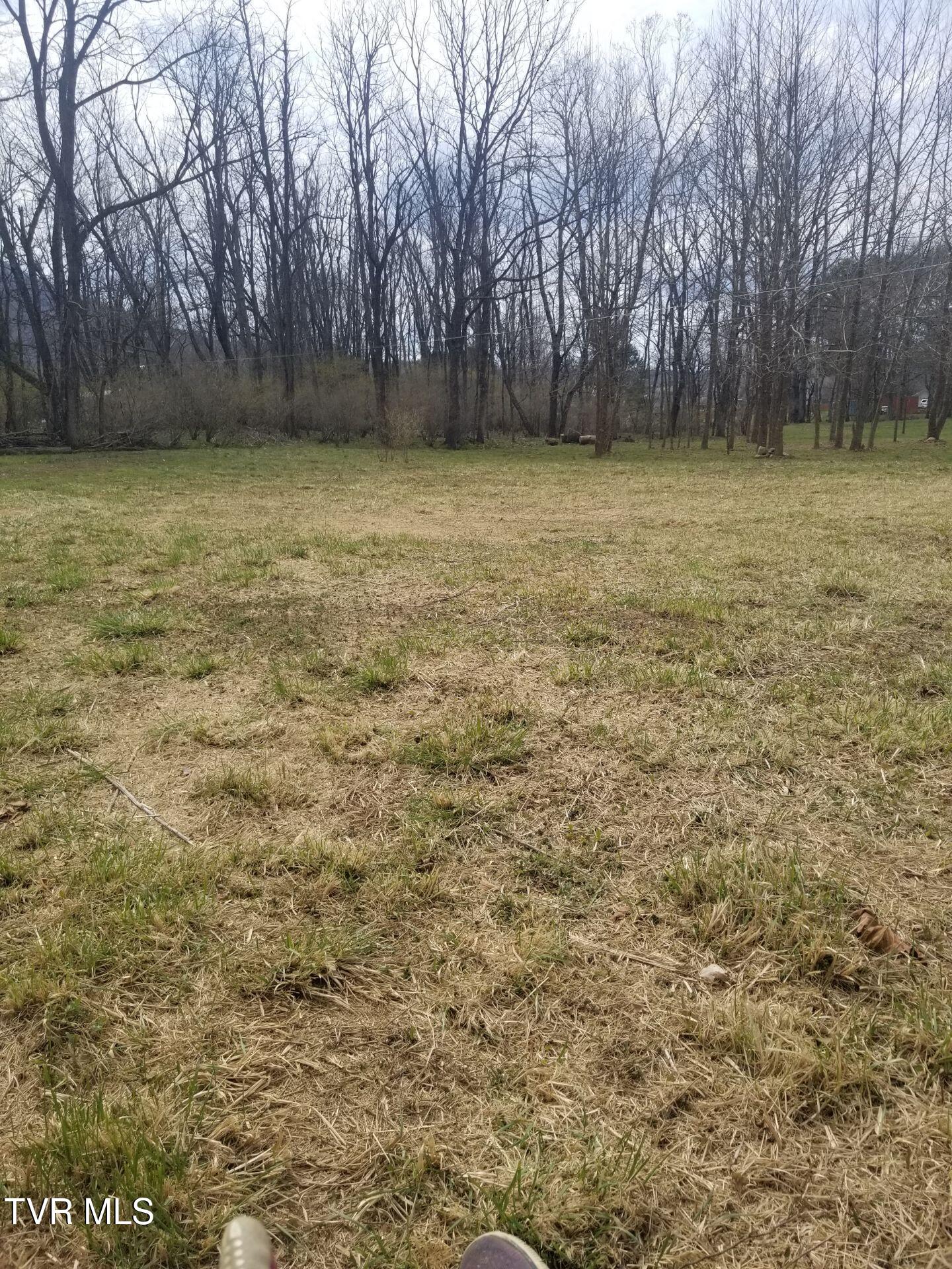 Tbd Fairview Street, Mountain City, Tennessee image 19