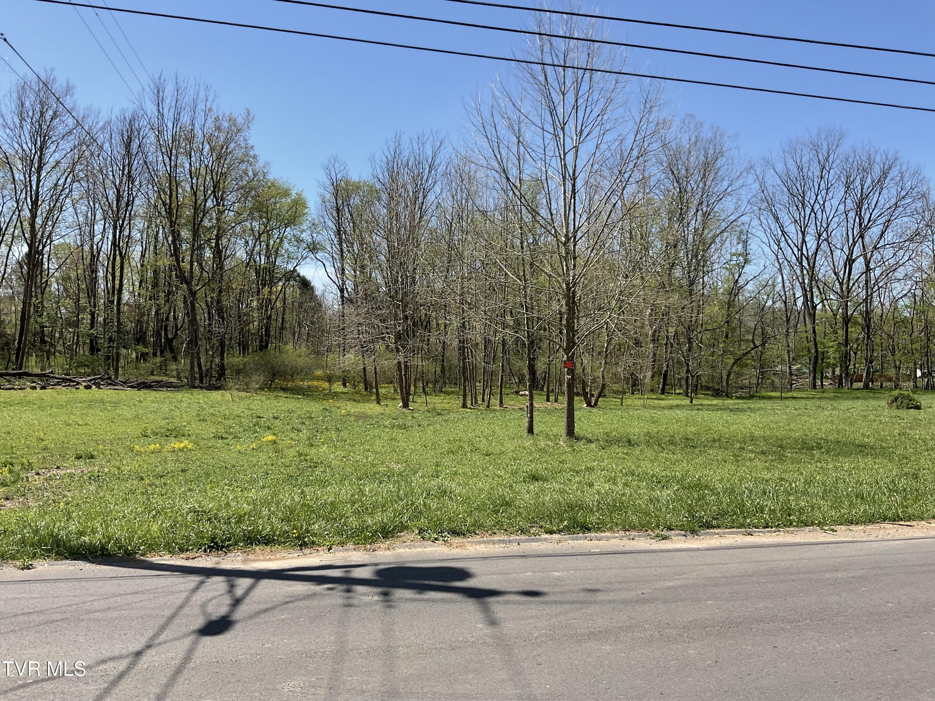 Tbd Fairview Street, Mountain City, Tennessee image 2