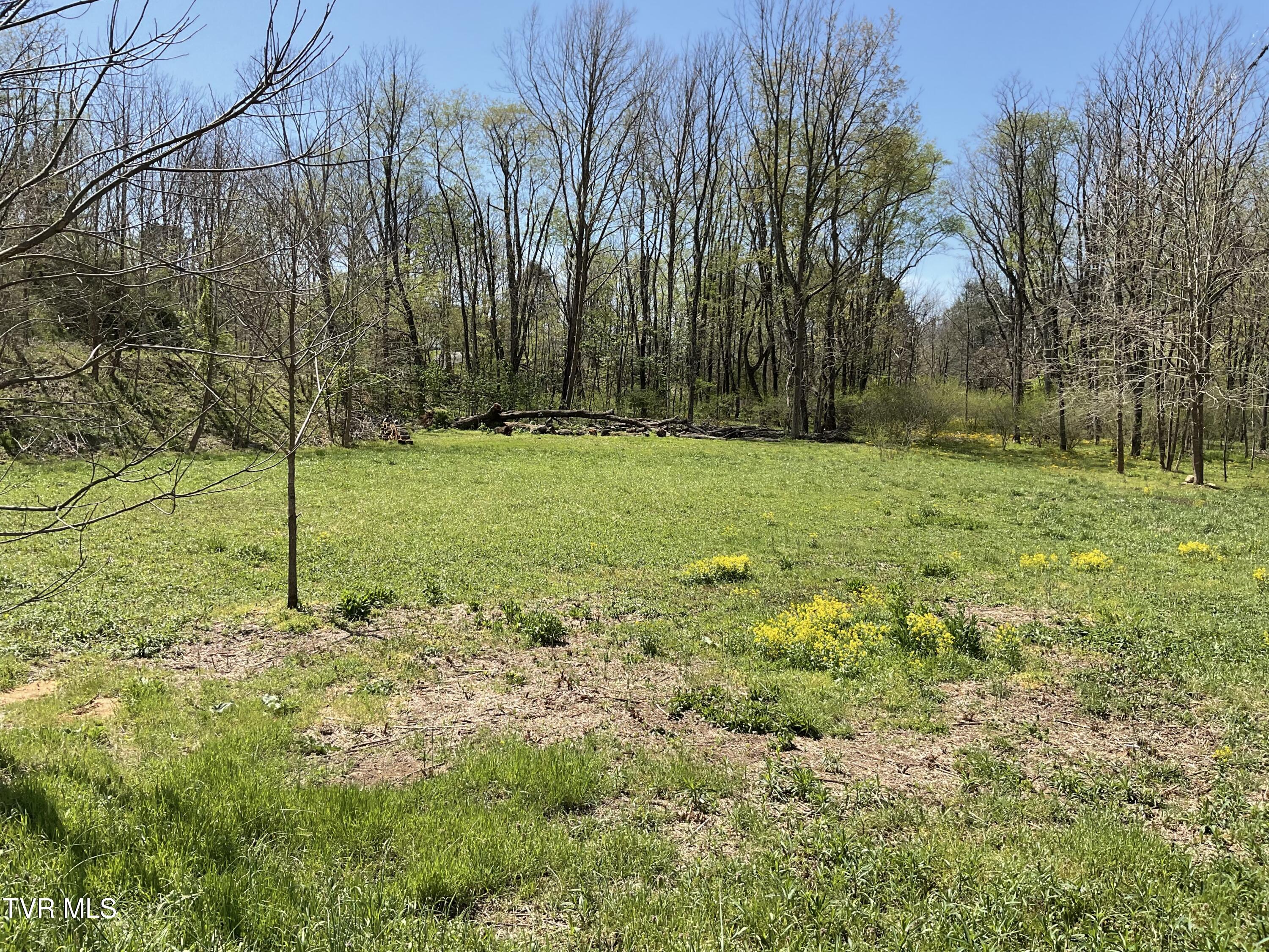 Tbd Fairview Street, Mountain City, Tennessee image 10