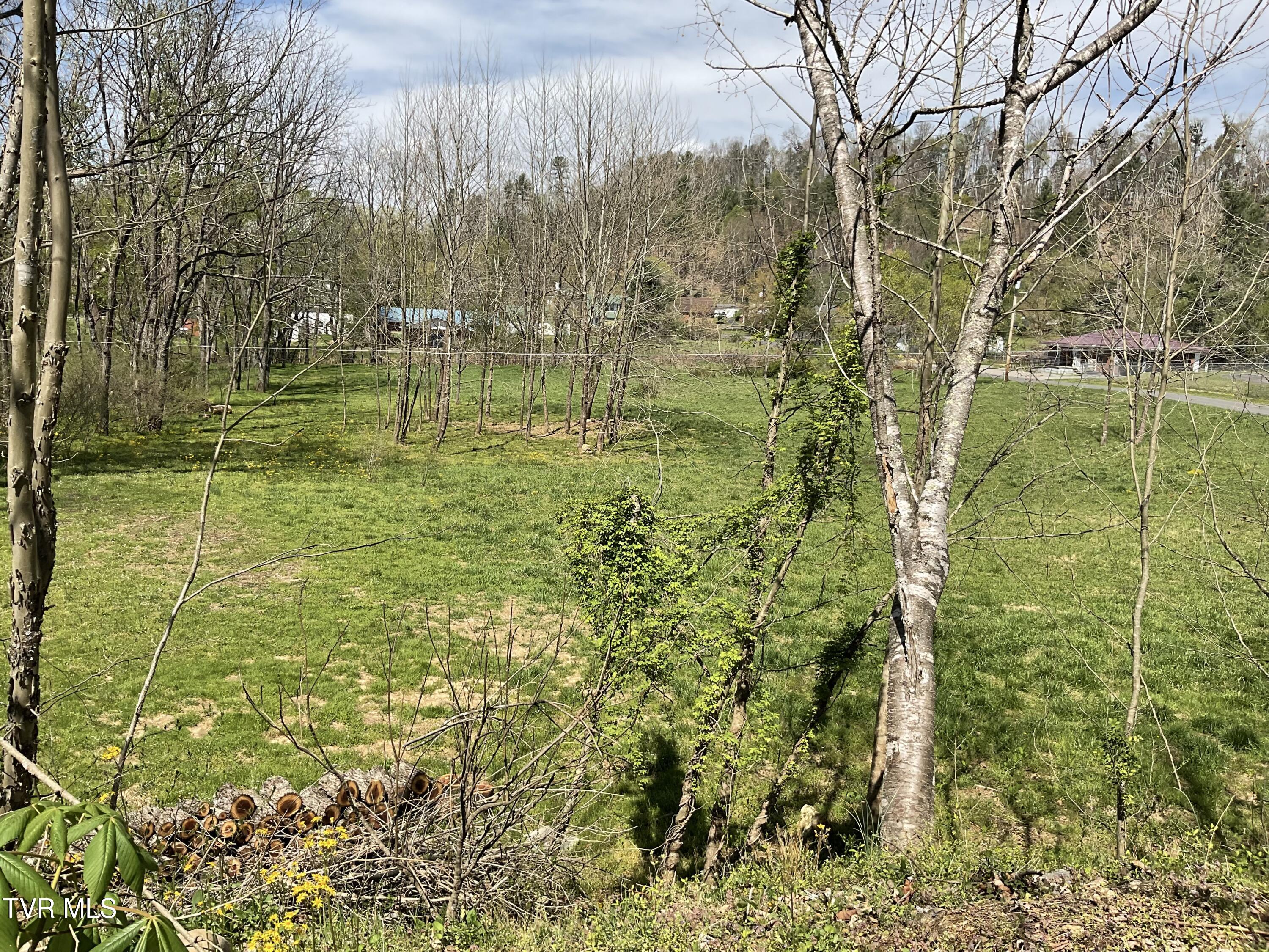 Tbd Fairview Street, Mountain City, Tennessee image 14