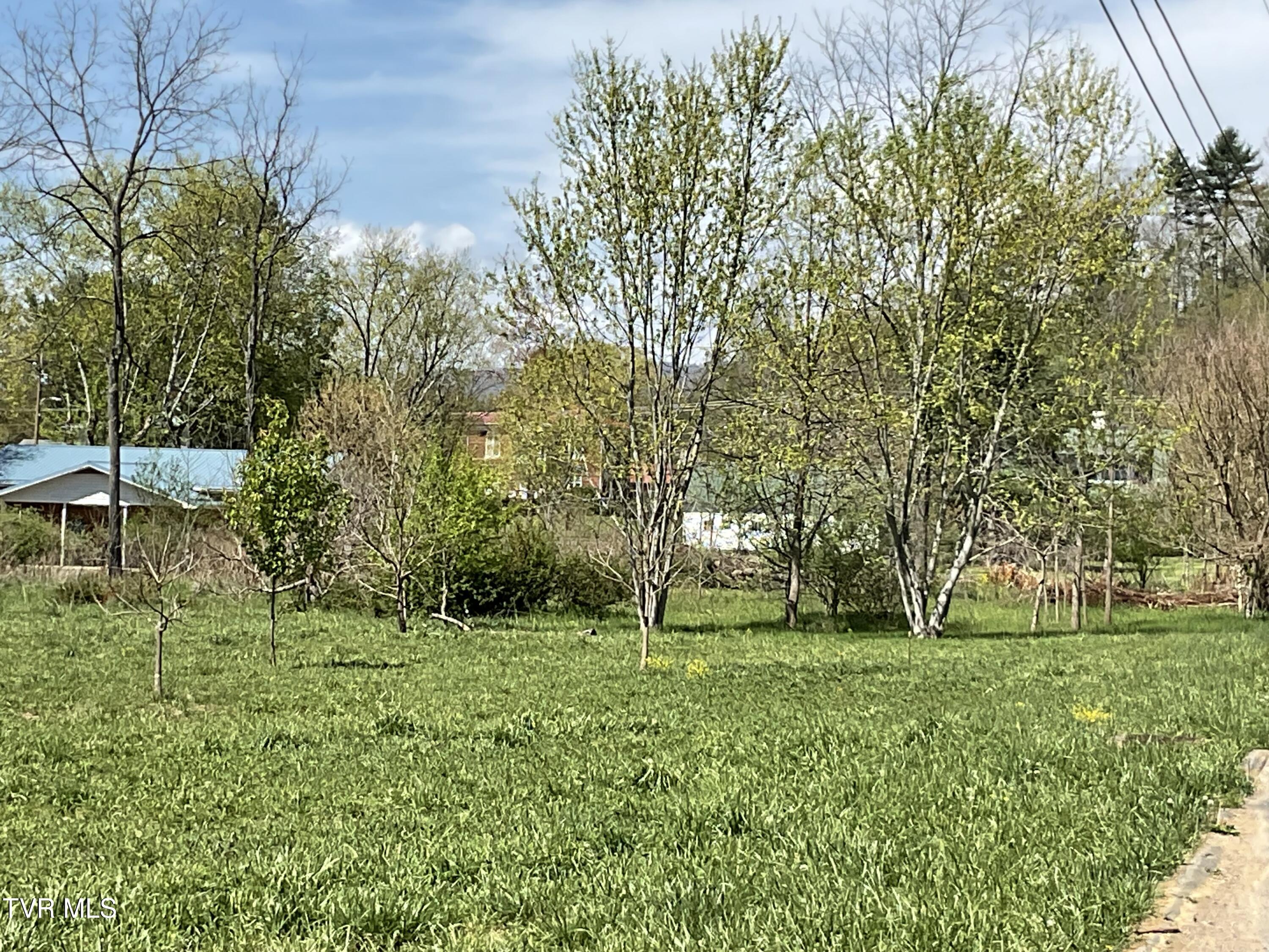 Tbd Fairview Street, Mountain City, Tennessee image 9