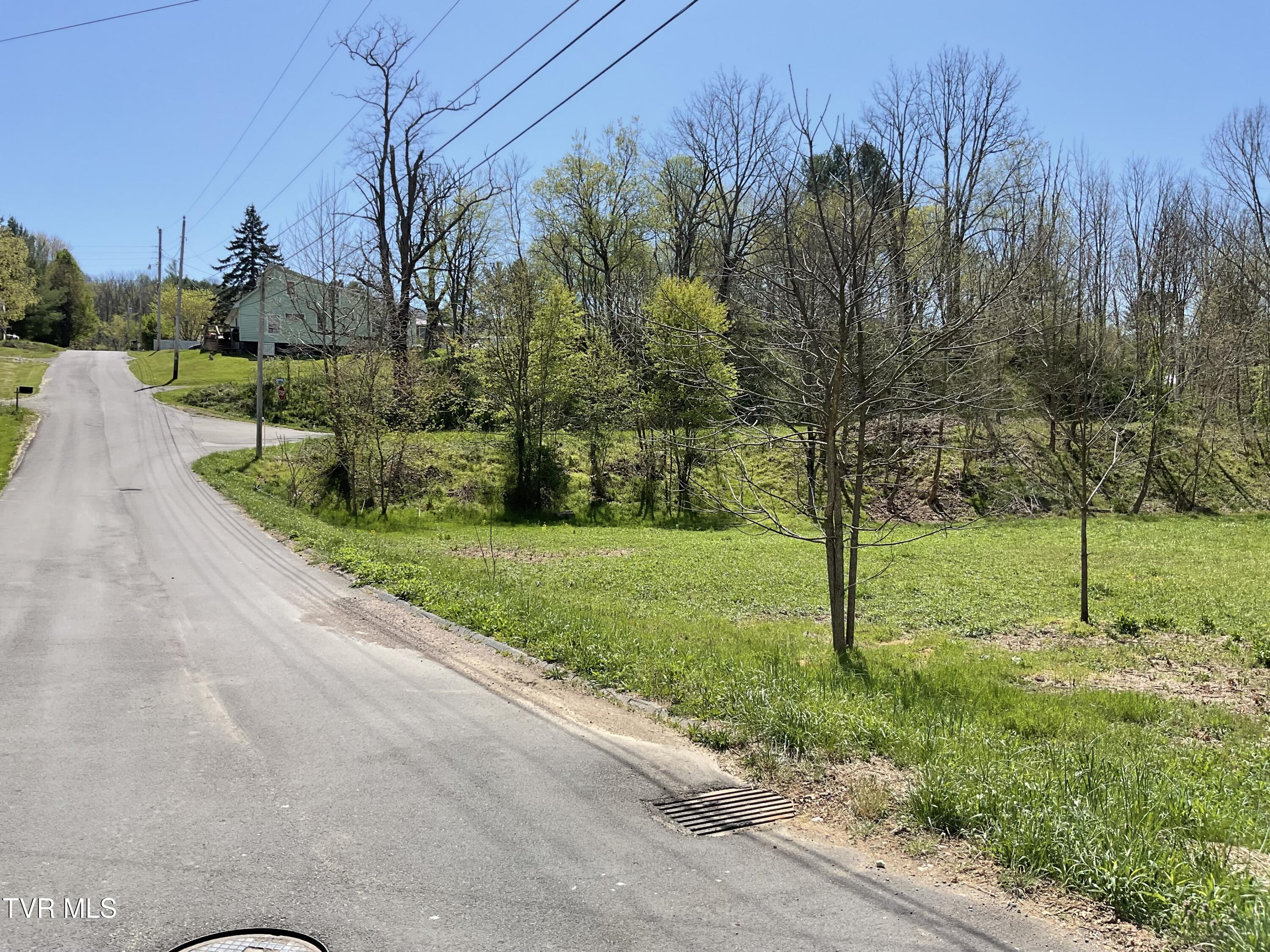 Tbd Fairview Street, Mountain City, Tennessee image 11