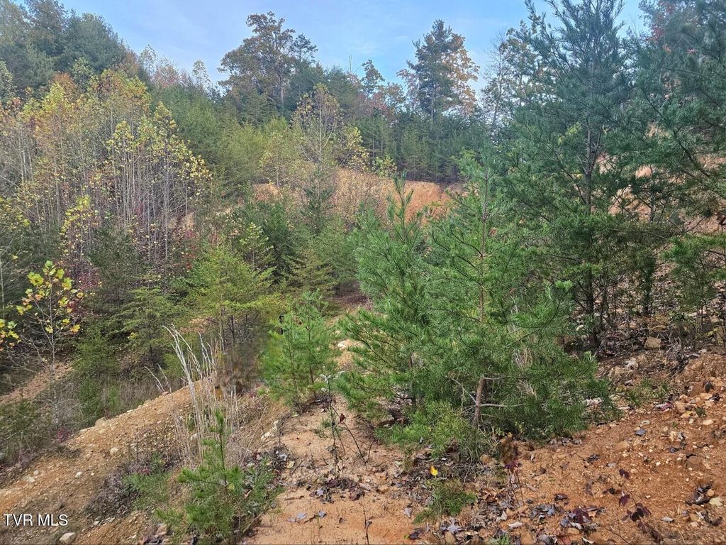 Photo of Tbd Blaine White Road, Erwin, TN 37650 (MLS # 9987927)