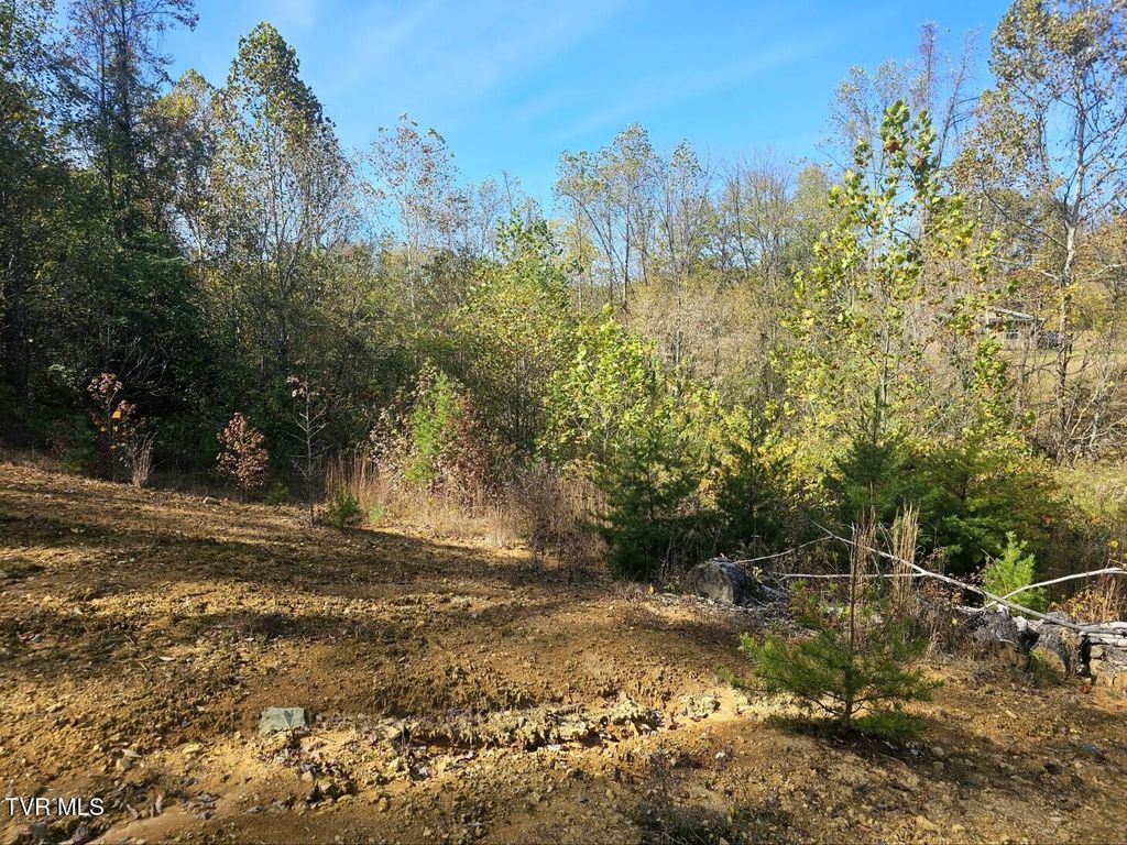 Photo of Tbd Blaine White Road, Erwin, TN 37650 (MLS # 9987927)